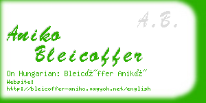 aniko bleicoffer business card